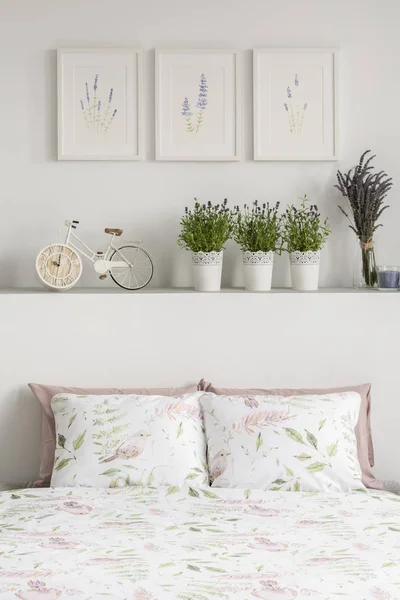 在书架上 用鲜花 植物和自行车的枕头特写 墙上的图形在明亮的卧室内部 真实照片 — 图库照片