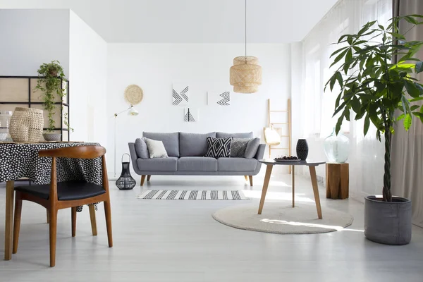 桌子上的地毯旁边的植物和木椅在白色扁平的内部与灰色的沙发和灯 真实照片 — 图库照片
