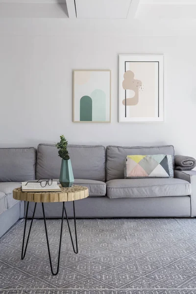 Plant Table Grey Carpet Living Room Interior Posters Corner Couch — Stock Photo, Image
