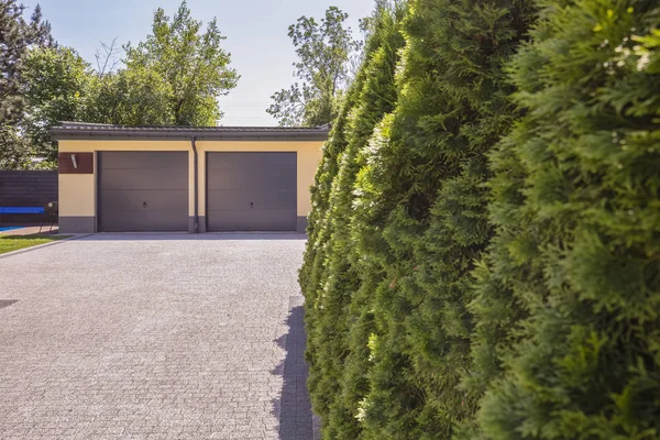 Groene Bomen Het Terrein Van Huis Met Garage Stenen Weg — Stockfoto