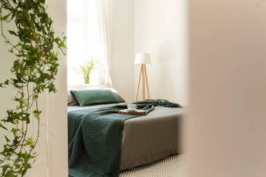 Yeşil battaniye ve yastıklar çok az yatak odası iç lamba ve bitkiler ile gri yatakta. Gerçek fotoğraf