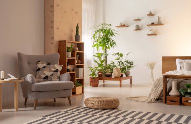 Gri koltuk ve halı modern açık alan iç yatak ve bitkiler üzerinde kabarık. Gerçek fotoğraf