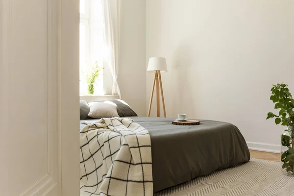 Cobertor Modelado Cama Cinza Interior Quarto Brilhante Simples Com Plantas — Fotografia de Stock