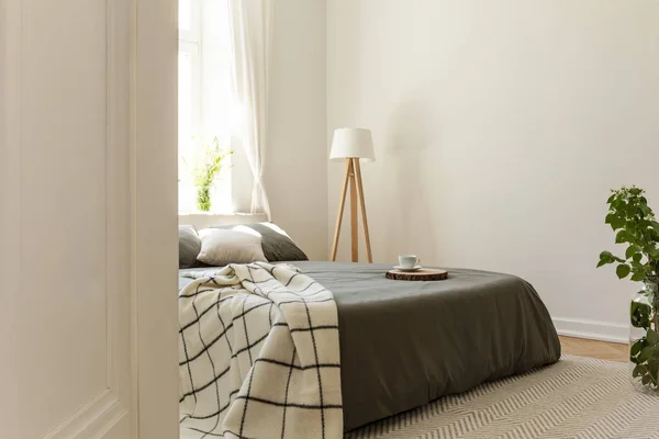 Patterned Blanket Grey Bed Simple Bright Bedroom Interior Plants Lamp — Stock Photo, Image