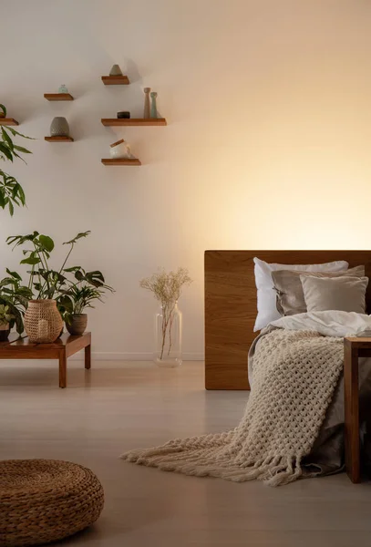 Planten Een Lage Tafel Poef Bed Met Deken Lege Muur — Stockfoto