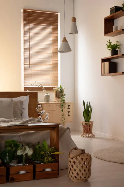 Lantaarn Planten Donkere Slaapkamer Interieur Met Bed Naast Lampen Blinds — Stockfoto