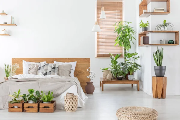 Poef Planten Lichte Slaapkamer Interieur Met Kussens Bed Met Houten — Stockfoto