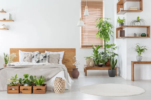 Real Photo Botanical Bedroom Interior Wooden Shelves Tables Double Bed — Stock Photo, Image