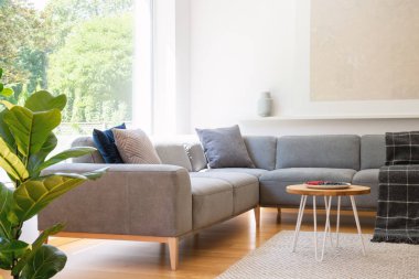 Ahşap masa yanındaki gri köşe kanepe oturma odası iç resim, bitki ve pencere ile. Gerçek fotoğraf