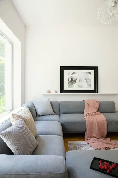 Ροζ Κουβέρτα Και Μαξιλάρια Γκρι Γωνία Καναπέ Στο Εσωτερικό Λευκό — Φωτογραφία Αρχείου