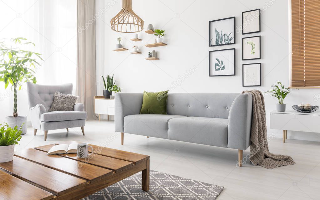 Real photo of grey sofa with green cushion and blanket standing in white living room interior with simple posters, fresh plants, armchair and wooden coffee table with open book and tea mug