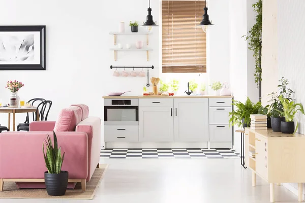 真实照片的开放式空间厨房内部与棋盘地板 窗口与木帘 粉红色天鹅绒沙发和许多新鲜植物 — 图库照片