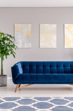 Modern kanepe, desenli halı, bitki ve salon iç duvarda posterler gerçek fotoğraf