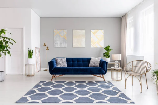 明亮起居室的真实照片与皇家蓝色沙发 三简单的绘画 窗口与窗帘和新鲜植物 — 图库照片