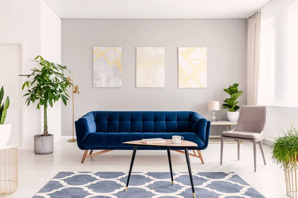 真实照片的植物 深蓝色的沙发和海报上墙上的现代客厅内饰 — 图库照片