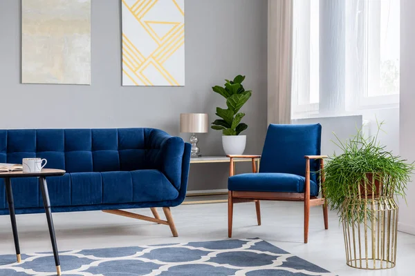 Navy Blue Armchair Standing Next Sofa Real Photo Bright Living — Stock Photo, Image