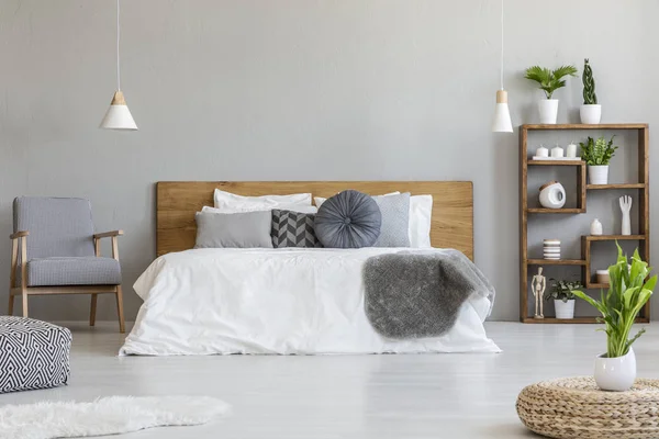 Plantez Sur Pouf Dans Une Chambre Lumineuse Intérieure Avec Lit — Photo