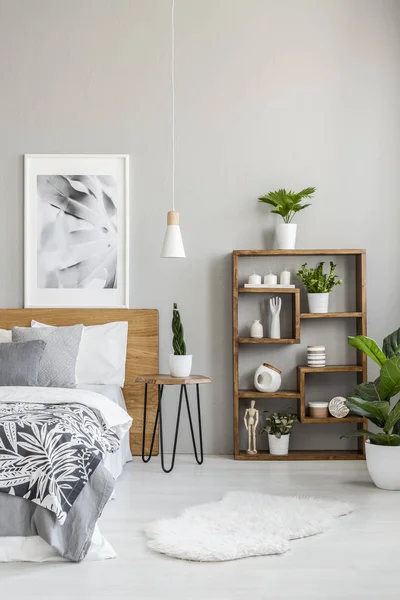 Plants Shelves Next Wooden Bed Grey Bedroom Interior Poster Fur — Stock Photo, Image