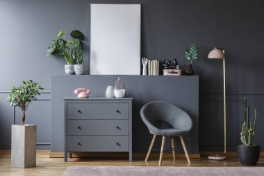 Bir koltuk bir dolap ve karanlık oturma odası iç bitkileri, süs eşyaları ve boş bir poster ile bir ampul arasında gerçek fotoğraf