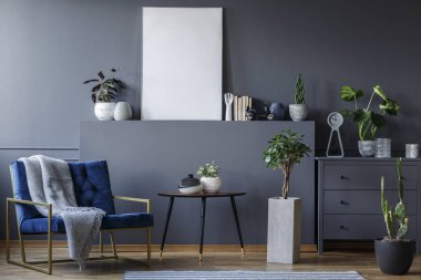 Bir tek renkli salon iç bir tablosunun yanındaki bir paket konumu olan mavi bir koltuk ve bitkiler ve çevresinde süs eşyaları ile boş bir poster ile bir raf ile gerçek fotoğraf