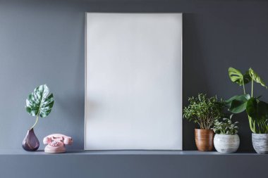 Bir beyaz, boş poster ayakta bitki vazo içinde ve küçük pembe telefon gri oda iç yanında gerçek fotoğraf. Grafiğinizi buraya yerleştirin