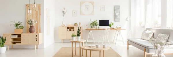 Real photo of white open space flat interior with grey sofa, wooden cupboards with plants and decor, coffee table with mugs and study corner desk with empty computer screen