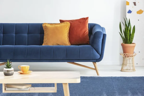 植物旁边的蓝色沙发与橙色垫子在客厅内部与木桌 背景模糊的真实照片 — 图库照片