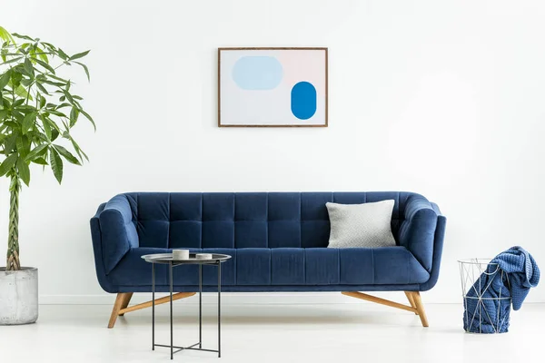 Palm Dalej Niebieski Sofa Poduszką Biały Salon Wnętrza Plakatu Czarny — Zdjęcie stockowe