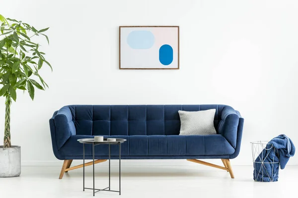 Palma Junto Sofá Azul Con Almohada Interior Sala Estar Blanca — Foto de Stock