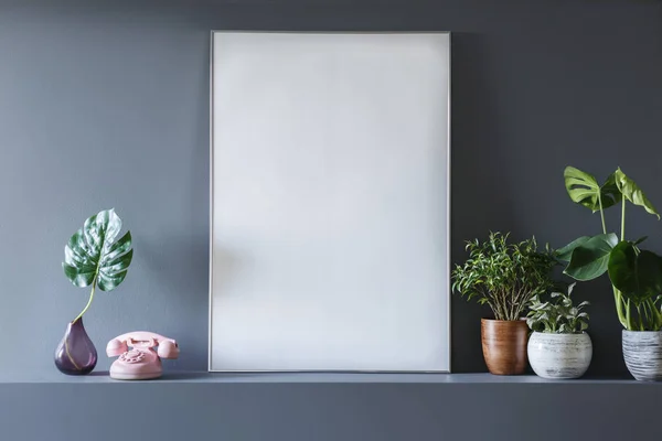 Foto Real Afiche Blanco Vacío Pie Junto Las Plantas Jarrones —  Fotos de Stock