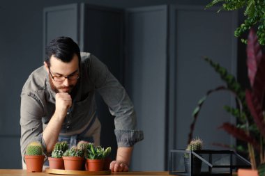 Adam kaktüsler ve succulents gri iç bahçe tutkuyla