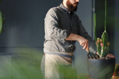 Atölyesini bir kaktüs süreçte iş elbiseli profesyonel bahçıvan