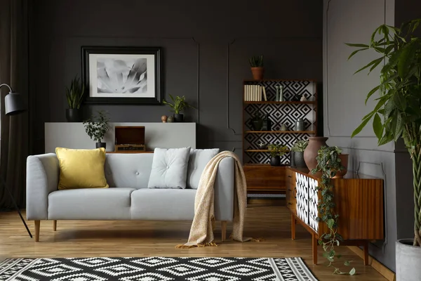 Cobertor Sofá Cinzento Interior Retro Sala Estar Com Cartaz Plantas — Fotografia de Stock