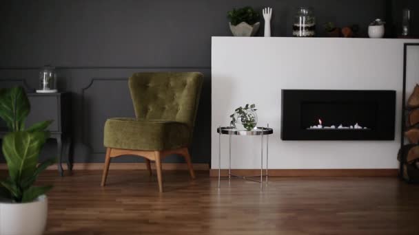 Égő eco kandalló sötét szürke nappali belső dekor a polc és friss növények, a videó, zöld fotel