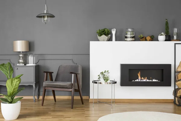 Grey armchair between fireplace and cabinet with lamp in flat interior with plant. Real photo