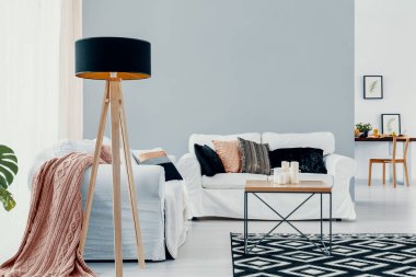 Lamba beyaz kanepe açık alan iç halı ve tablo ile Pembe battaniye ile yanındaki. Gerçek fotoğraf