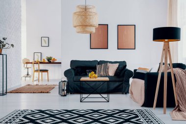 Pembe posterler parlak Daire İç desenli halı ve lamba ile yeşil kanepe yukarıda. Gerçek fotoğraf