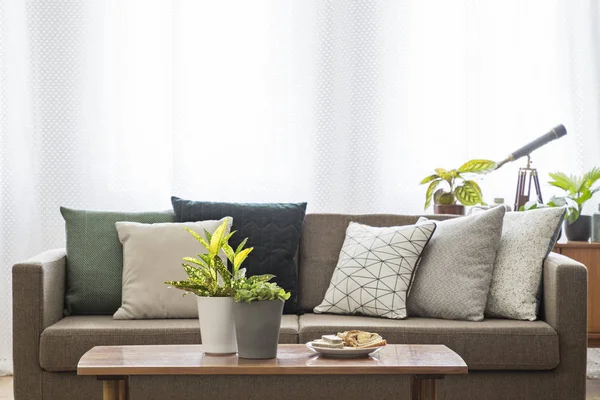 Foto Real Sofá Com Travesseiros Atrás Uma Mesa Com Plantas — Fotografia de Stock