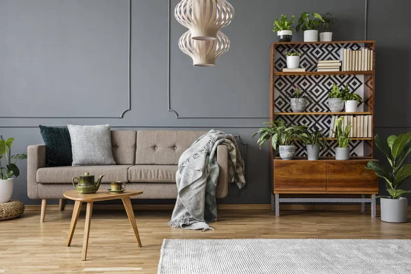 Puder Tæppe Beige Sofa Grå Stue Interiør Med Træbord Planter - Stock-foto