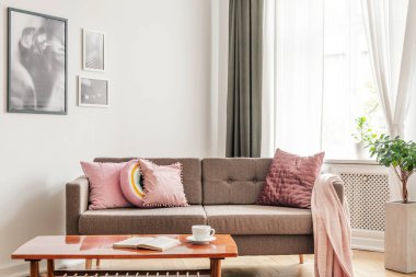 Ahşap masa posterler ve bitki ile düz iç pembe yastık ile bej kanepe önünde. Gerçek fotoğraf