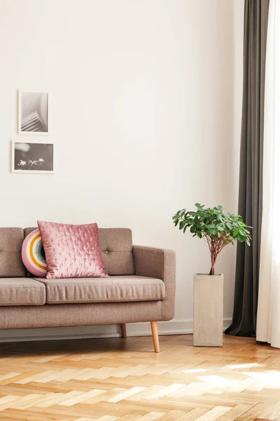 植物旁边的沙发与枕头在客厅内部与木地板和海报 真实照片 — 图库照片