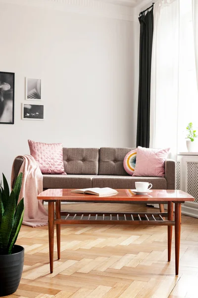 Planta Junto Mesa Madera Interior Plano Blanco Con Carteles Cojines — Foto de Stock