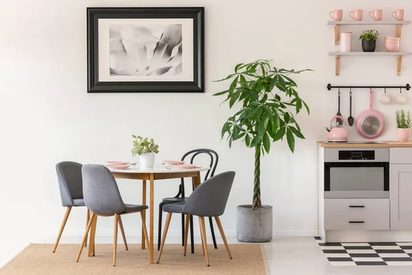 灰色のポスターとピンクのアクセサリーとキッチン インテリアの植物の横にあるダイニング テーブルに椅子 実際の写真 — ストック写真