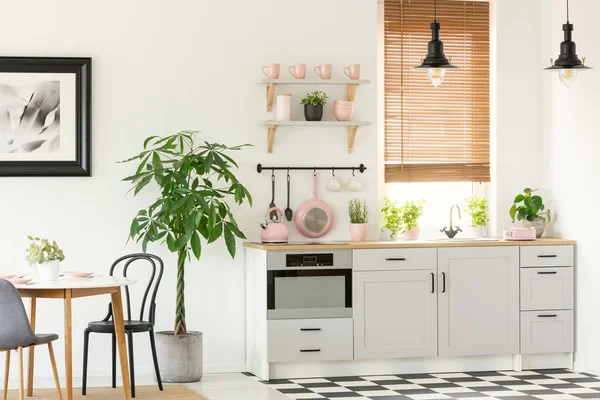 Rosa Accessoires Grauer Kücheneinrichtung Mit Pflanze Neben Stühlen Und Esstisch — Stockfoto