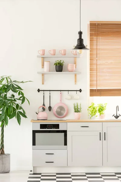 粉彩粉红色水壶放在台面上的真实照片白色厨房内部与新鲜的植物 窗口与百叶窗和灯 — 图库照片