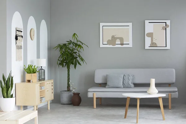 Plakaty Powyżej Szara Sofa Salonie Wnętrza Rośliny Obok Drewniana Szafka — Zdjęcie stockowe