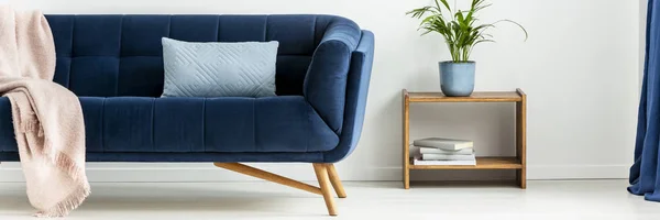 Panorama Plant Table Next Blue Sofa Blanket Cushion White Flat — Stock Photo, Image