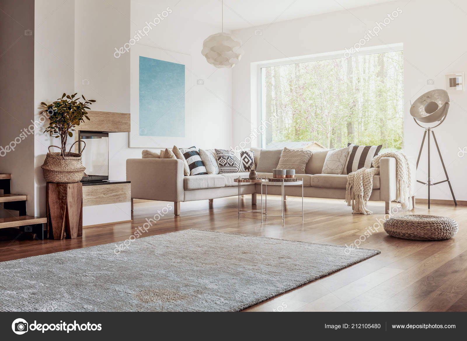 Open Space White Living Room Interior Big Rug Dark Hardwood