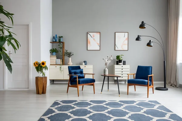 Tapis Bleu Motifs Fauteuils Bois Intérieur Spacieux Plat Avec Affiches — Photo