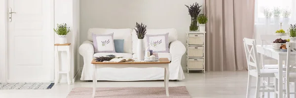 Beyaz Pembe Çatı Sandalye Ile Kanepe Önünde Masaya Çiçek Panoraması — Stok fotoğraf